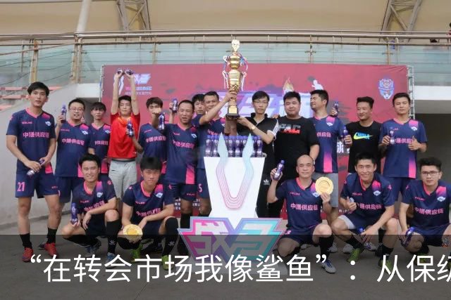 “在转会市场我像鲨鱼”：从保级到豪掷三亿，德泽尔比如何让热刺从落泪走向笑声