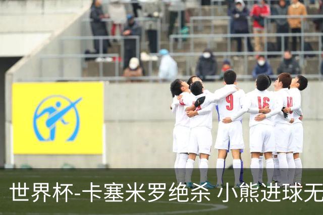 世界杯-卡塞米罗绝杀 小熊进球无效 巴西小胜瑞士