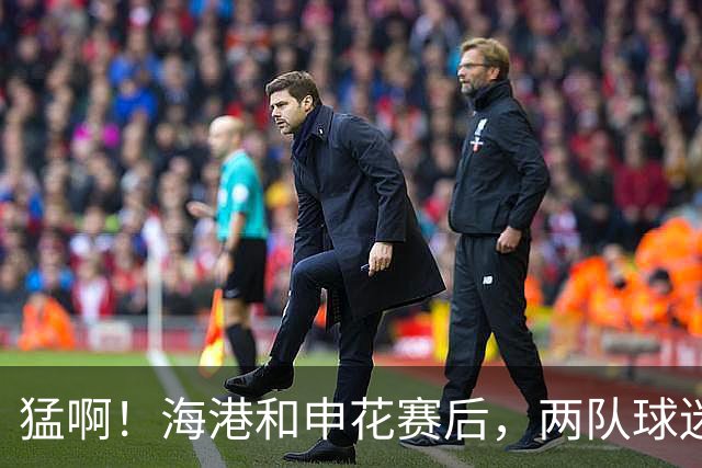 about image
